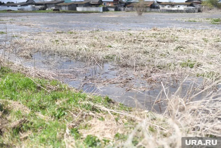 Прогнозы ввели чиновников в заблуждение, поэтому они оказались не готовы к резкому таянию снега и подъему воды