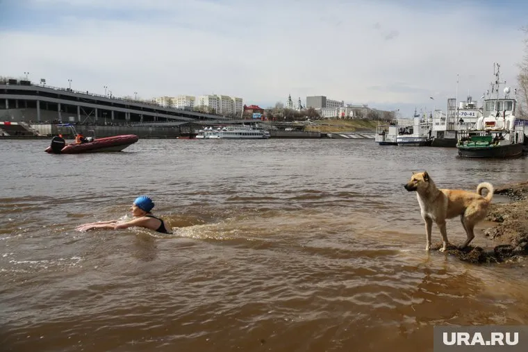 Курганцы плавали в ледяной воде с флагами и портретами ветеранов (архивное фото)