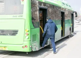 Фотография из галереи