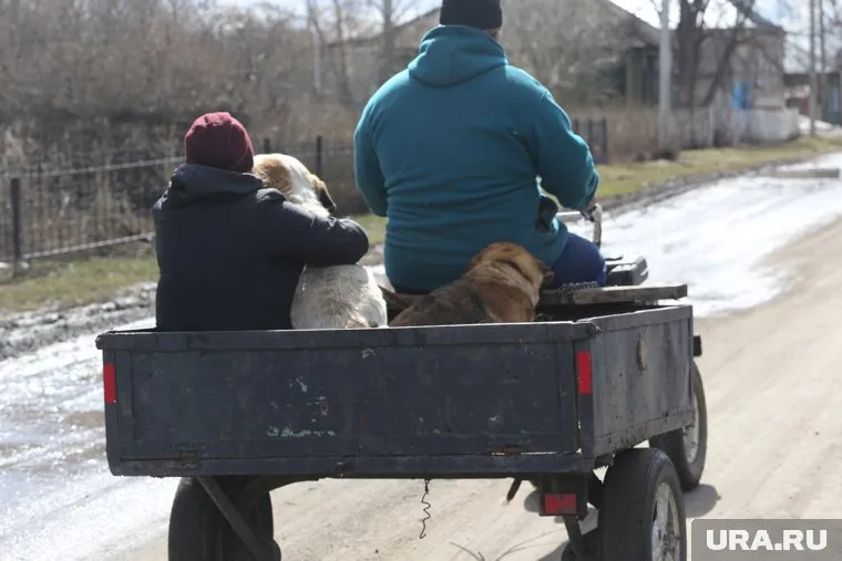 В Купянске объявили эвакуацию из-за приближения ВС РФ, заявил Виталий Ганчев (архивное фото)