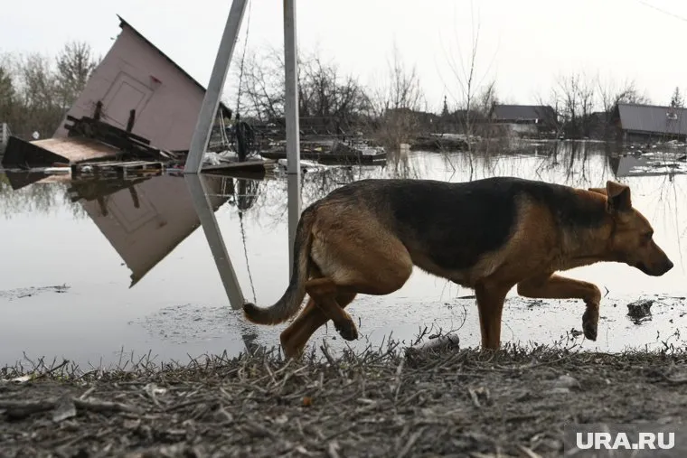 В Магнитке вода прибывала всю ночь (архивное фото)