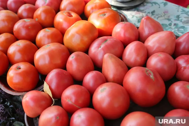 В регионе продают помидоры и местного производства, и привозные