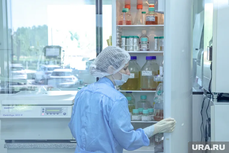 Нобелевскую премию получили врачи за разработку защиты иммунной системы