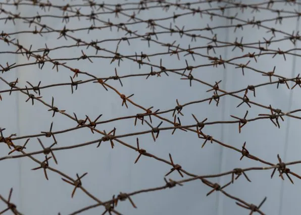 Фотография из галереи