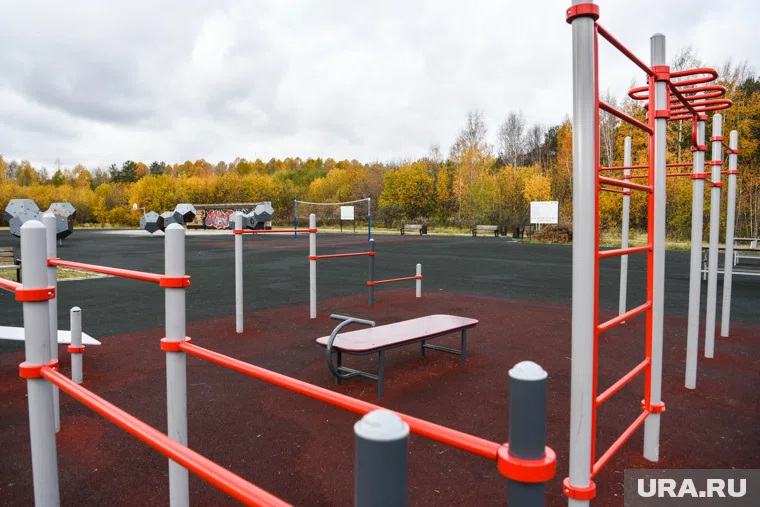 На одной из площадок можно будет сдать нормы ГТО