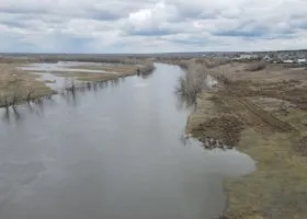 Фотография из галереи