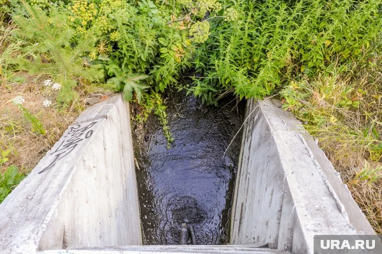 В курганском городе канализация третий год попадает в реку