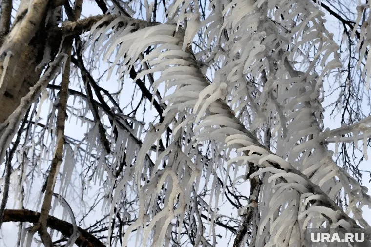 Ледяные фигуры появились из-за аномальных морозов
