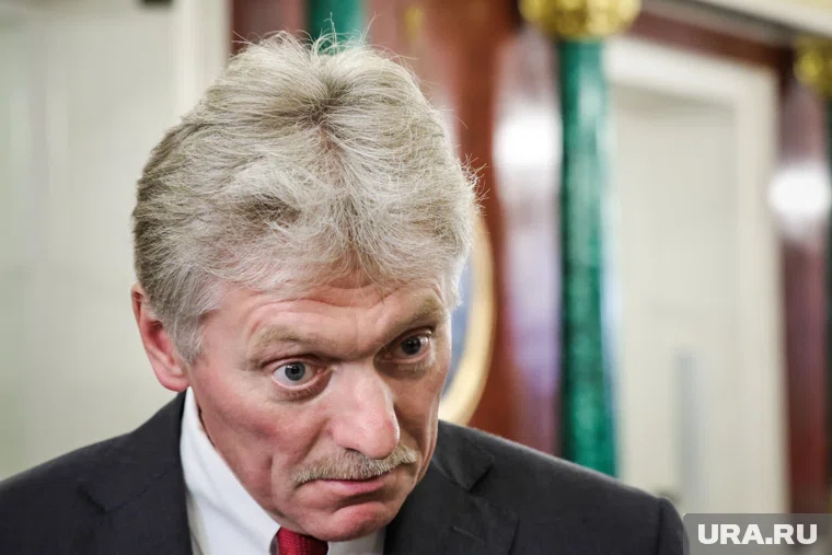 Переговоры Путина и Уиткоффа пройдут по времени столько, сколько потребуется, подчеркнул Дмитрий Песков