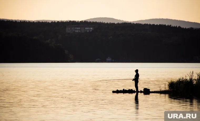 Пользователь зауральского озера отрицает массовую гибель рыб