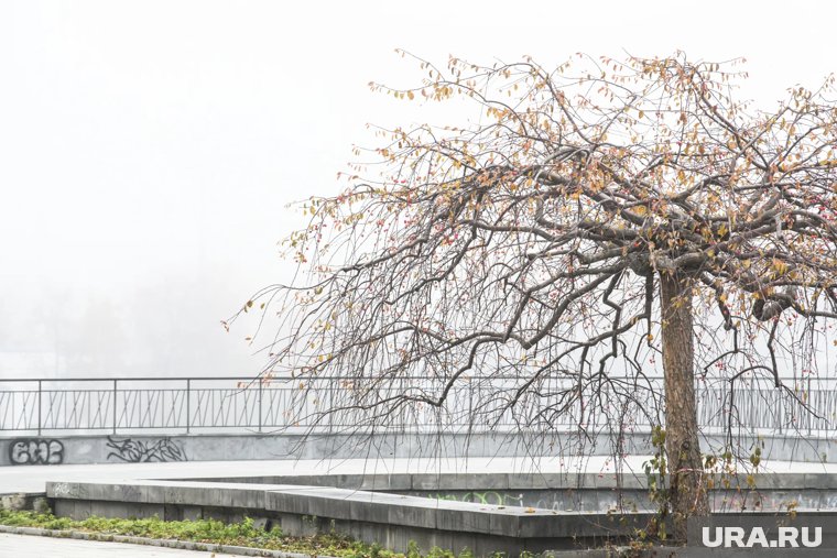 «Месяц климатического безумия»: какой будет погода в России в ноябре