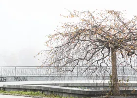 «Месяц климатического безумия»: какой будет погода в России в ноябре