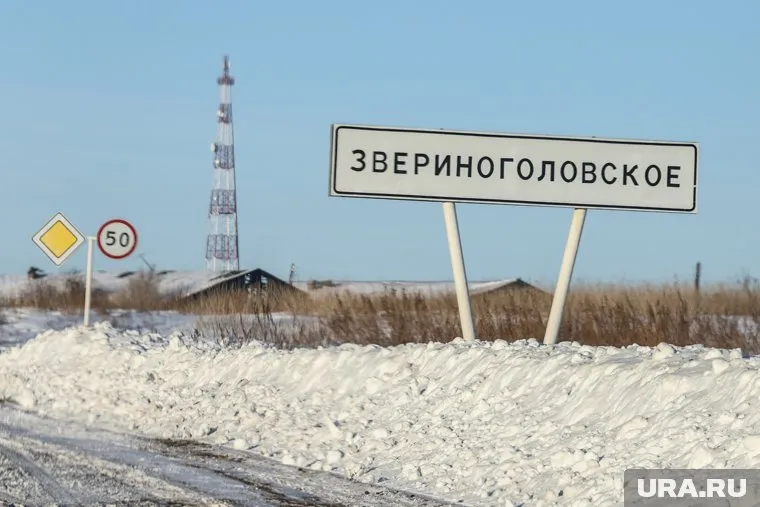 Выборы главы Звериноголовского района назначены на 8 декабря