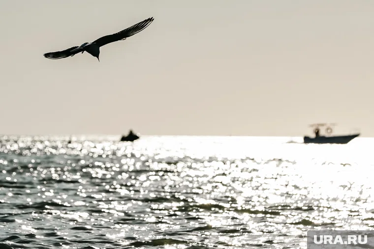 Катер с россиянами сел на мель, их спасли тайские моряки