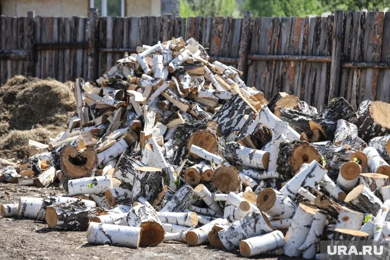 Дрова оплатил мэр Краснотурьинска Александр Устинов