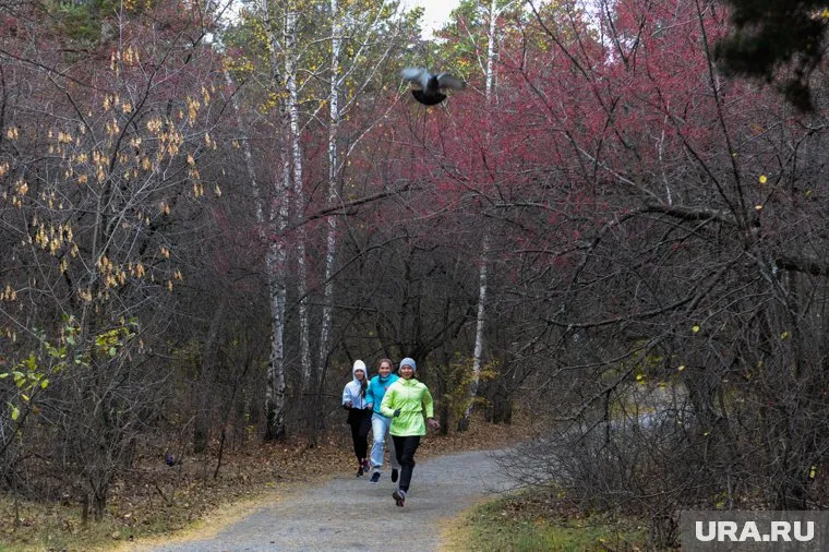 Антропогенная нагрузка на земли бора снизится