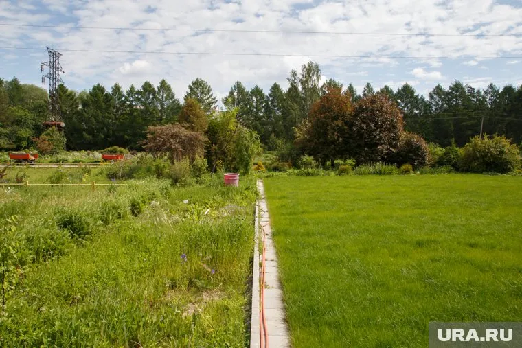 Дорогой щелевой очиститель справляется с сорняками лучше чем дешевые аналоги или бензин