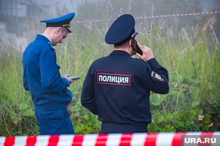 Поисками занимаются полицейские и волонтеры (архивное фото)