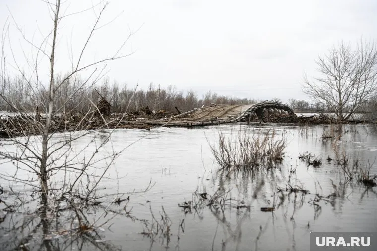 Пик паводка на реке Тобол прогнозируют на 6—9 мая