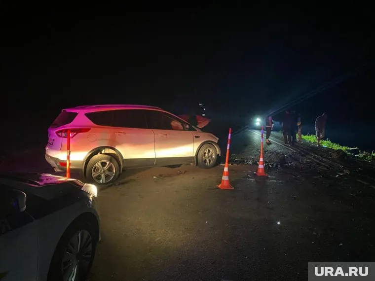 ДТП произошло на 315-м километре трассы «Тюмень — Омск»