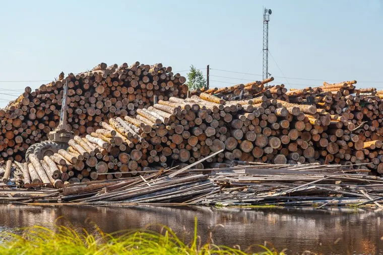 Путевые фото. Нижний Тагил -Восточный - Верхотурье - Гари, дрова, деревья, лесопилка, лесоматериалы, лесоповал, пилорама