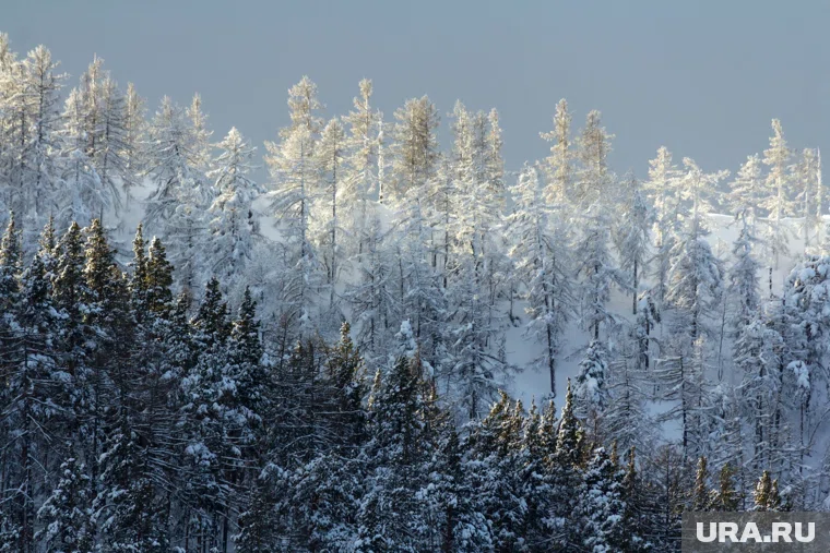 В горах высота снежного покрова достигла трех сантиметров (архивное фото)