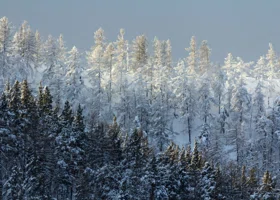 В Челябинской области за сутки местами выпало до 11 миллиметров снега