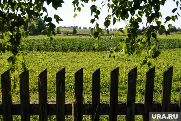Бесплатный гектар в Арктике можно будет получить лишь при условии его освоения