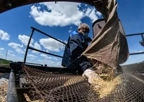 Россия определилась, в какие страны нарастит экспорт продуктов