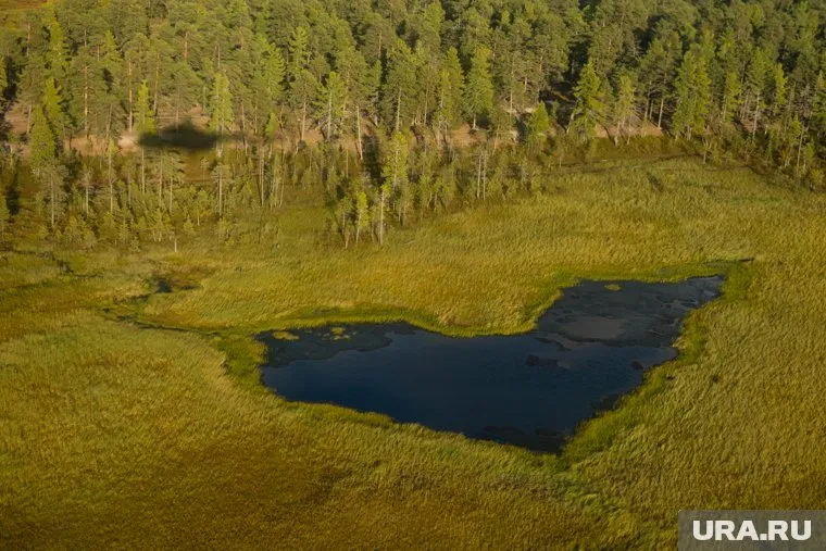 В ХМАО 22 мая стартует Международная экологическая акция «Спасти и сохранить»