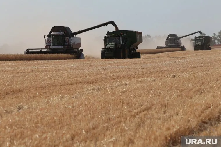 На агропредприятии «Миллениум» в разгар уборочной кампании уволились 15 человек