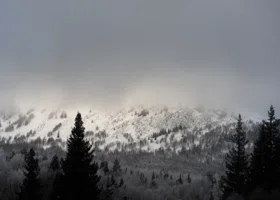 Получившая последнее сообщение Усольцевой подруга семьи рассказала, могла ли семья выжить