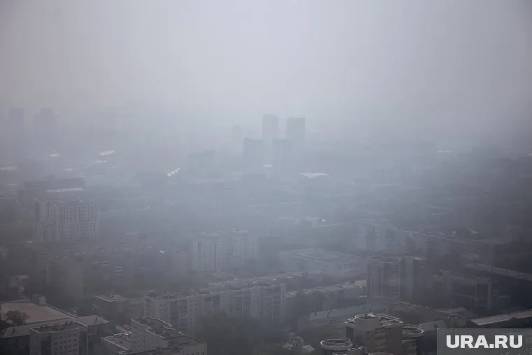 Некоторые горожане приняли смог за туман