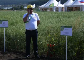 Дома никому не нужно: тюменский бизнесмен пояснил, почему вывозит всю свою продукцию в Китай