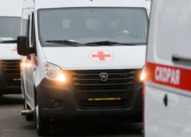 Фотография из галереи