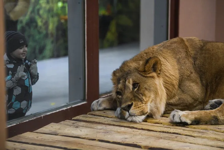 Екатеринбургский зоопарк. Екатеринбург