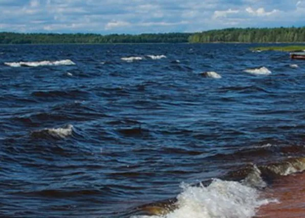 Фотография из галереи