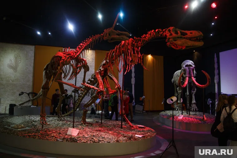 Мероприятия пройдут на базе Музея пермских древностей