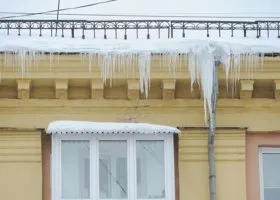 Фотография из галереи
