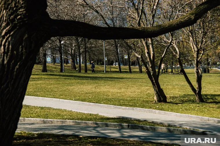 На федеральные деньги претендуют восемь «зеленых» пространств