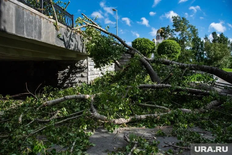 На юге России 16 и 17 ноября порывы ветра достигнут 25-30 м/с