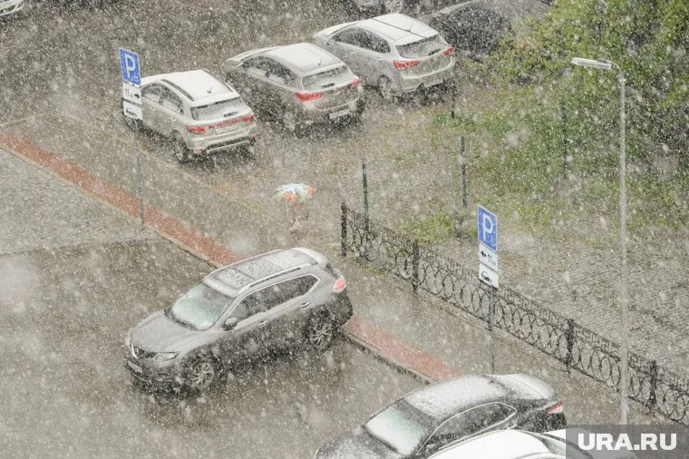 Минусовые температуры ночью будут сопровождаться осадками