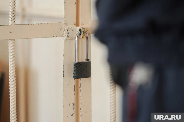 В США надеются на освобождение Карелиной