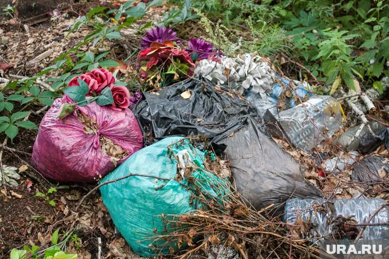 Власти свалки убирают, а они снова появляются