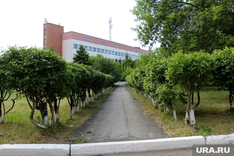 В должность ректора Курганской государственной сельхозакадемии вступит Владимир Чумаков