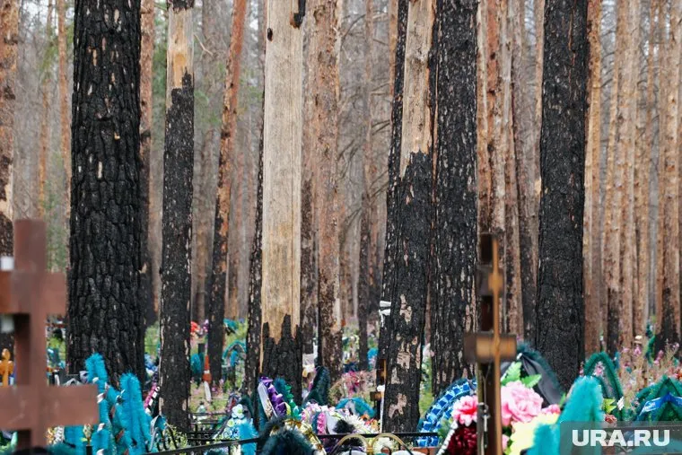 История кладбища в Чистопрудном вызывает споры у населения