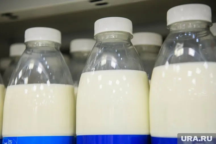 Молочная продукция дорожает уже больше года в Курганской области