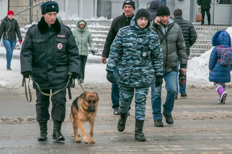 Курганская полиция. афиша Матильды. Курган, полиция, полицейская собака