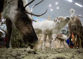 В ХМАО после капитального ремонта открылся уникальный музей