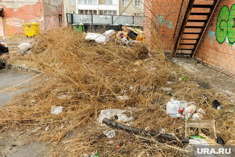 Администрация активно реагирует на запросы тюменцев